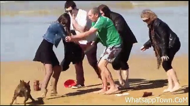 PITBULL DOG ATTACKS A MAN