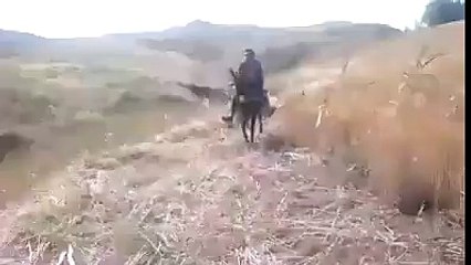 Interesting horse ridding