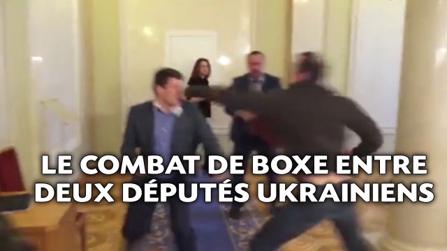 Le combat de boxe entre deux députés ukrainiens