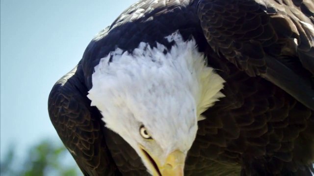 Destination British Columbia - The Wild Within