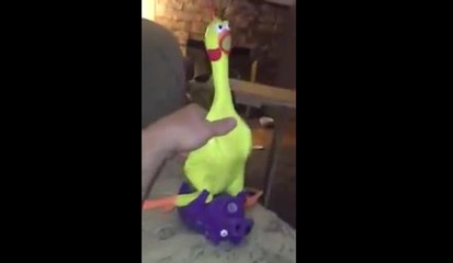 Une histoire d'amour