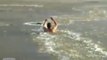 Courageous guy jumps in a frozen river to save his dog