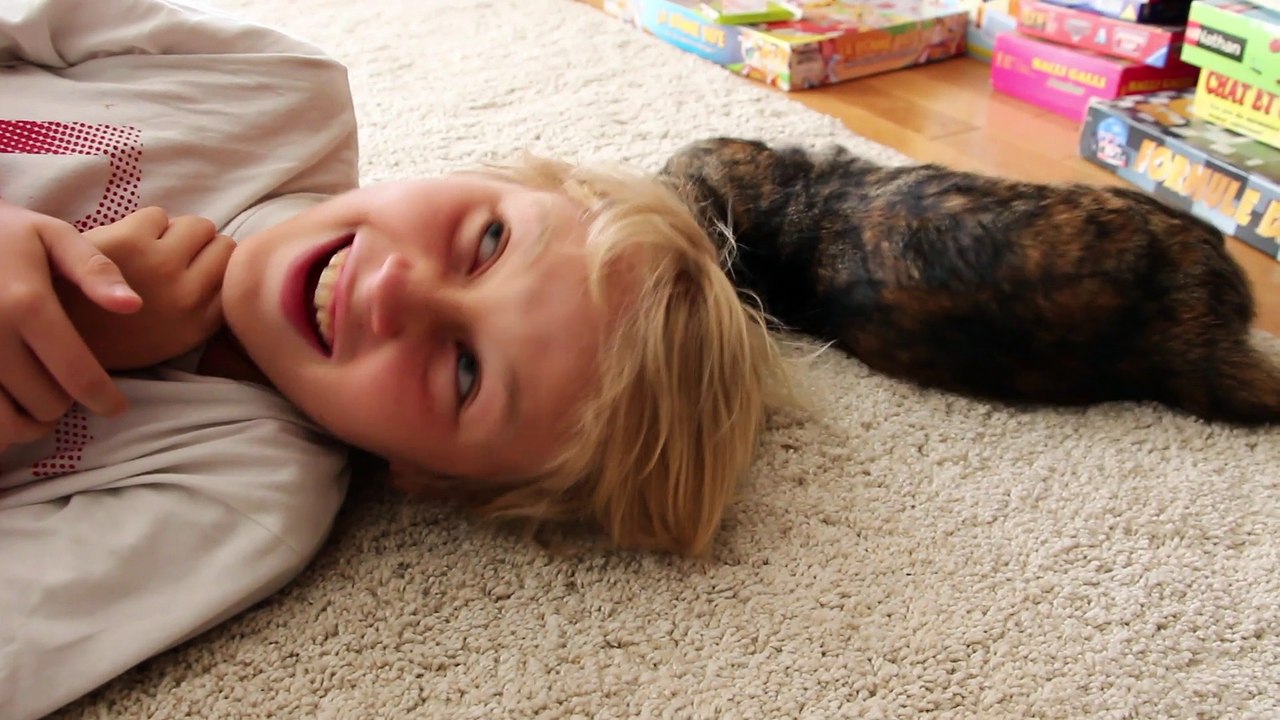 Funny cat who loves hair - un chat qui aime les cheveux