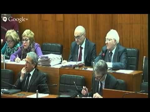 Napoli - Seduta Consiliare del 12 febbraio 2015 - prima parte