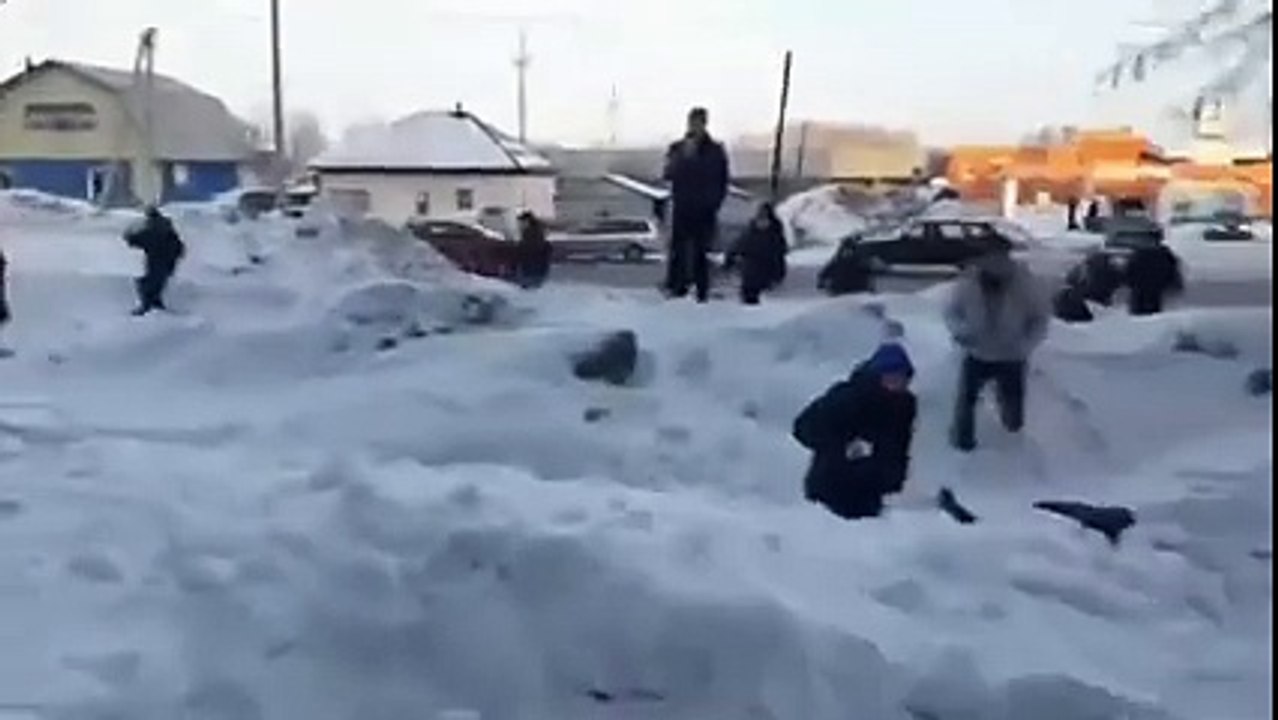 la stupidità umana è unica