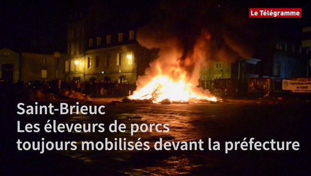 Saint-Brieuc. Les éleveurs de porcs toujours mobilisés devant la préfecture