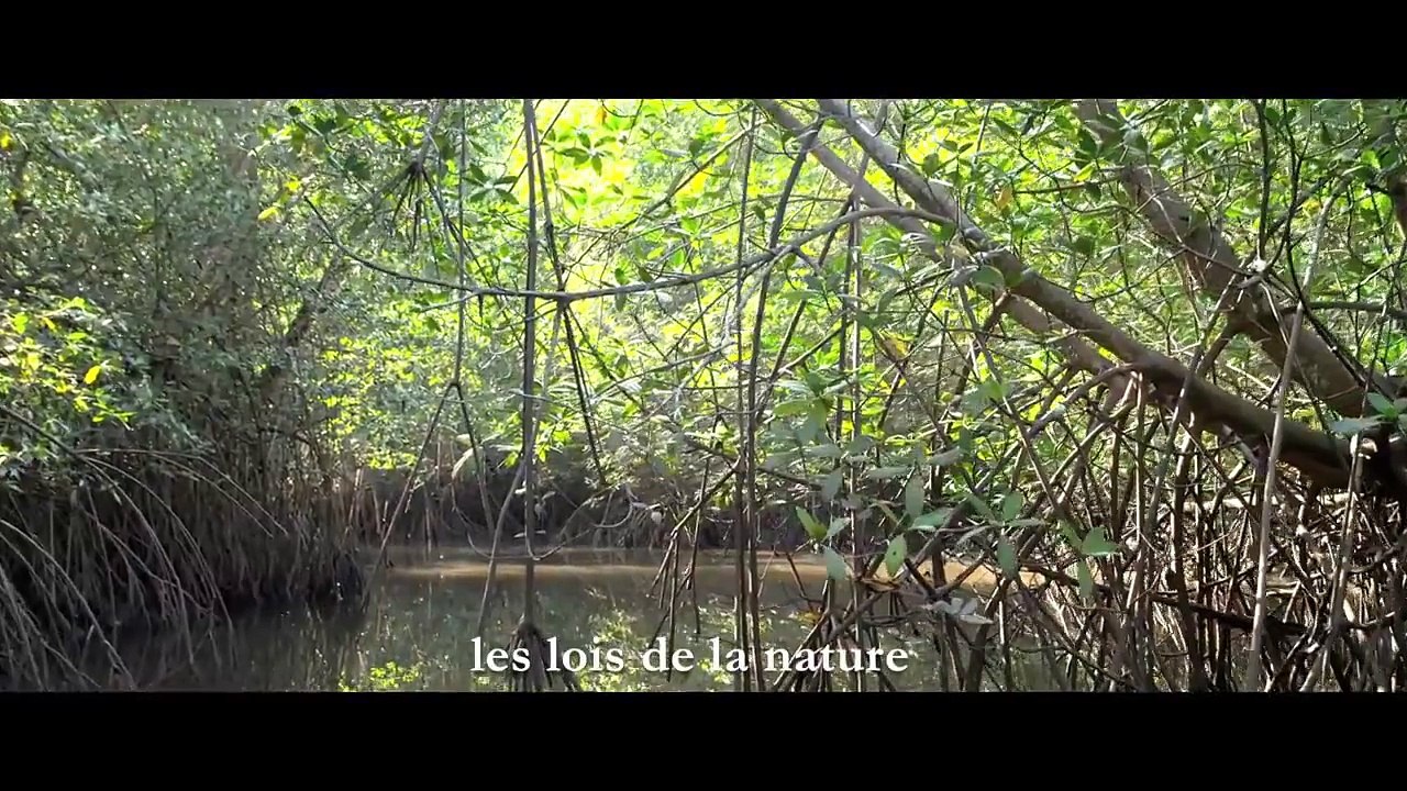 Tout peut changer | Naomi Klein