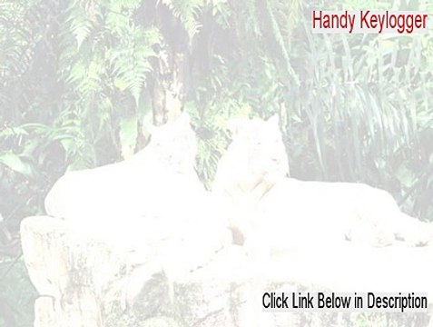 Handy Keylogger Key Gen (Risk Free Download)