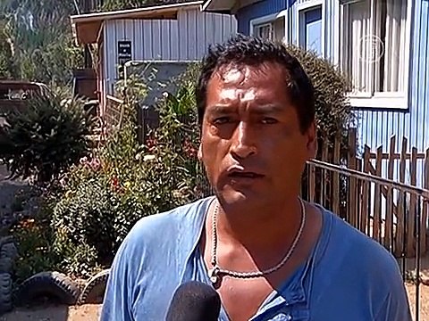 Пожары в Чили уничтожили 2000 гектаров леса