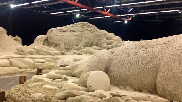 Aardbeving Kropswolde zorgt voor schade aan zandsculpturen - RTV Noord