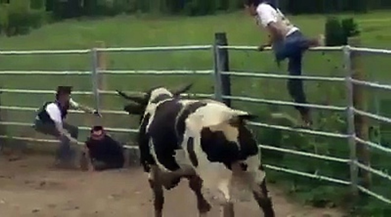Hitting By Bull