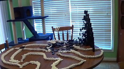 Domino Rally 3(4)