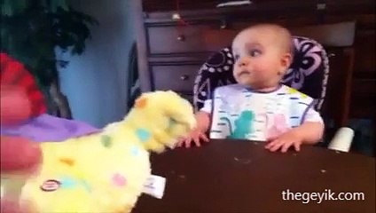 Tavuk yumurtladıkça mutlu olan bebek