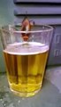 Cockroach drinking beer - Наглый таракан