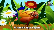 O furnica duce-n spate-(HD)