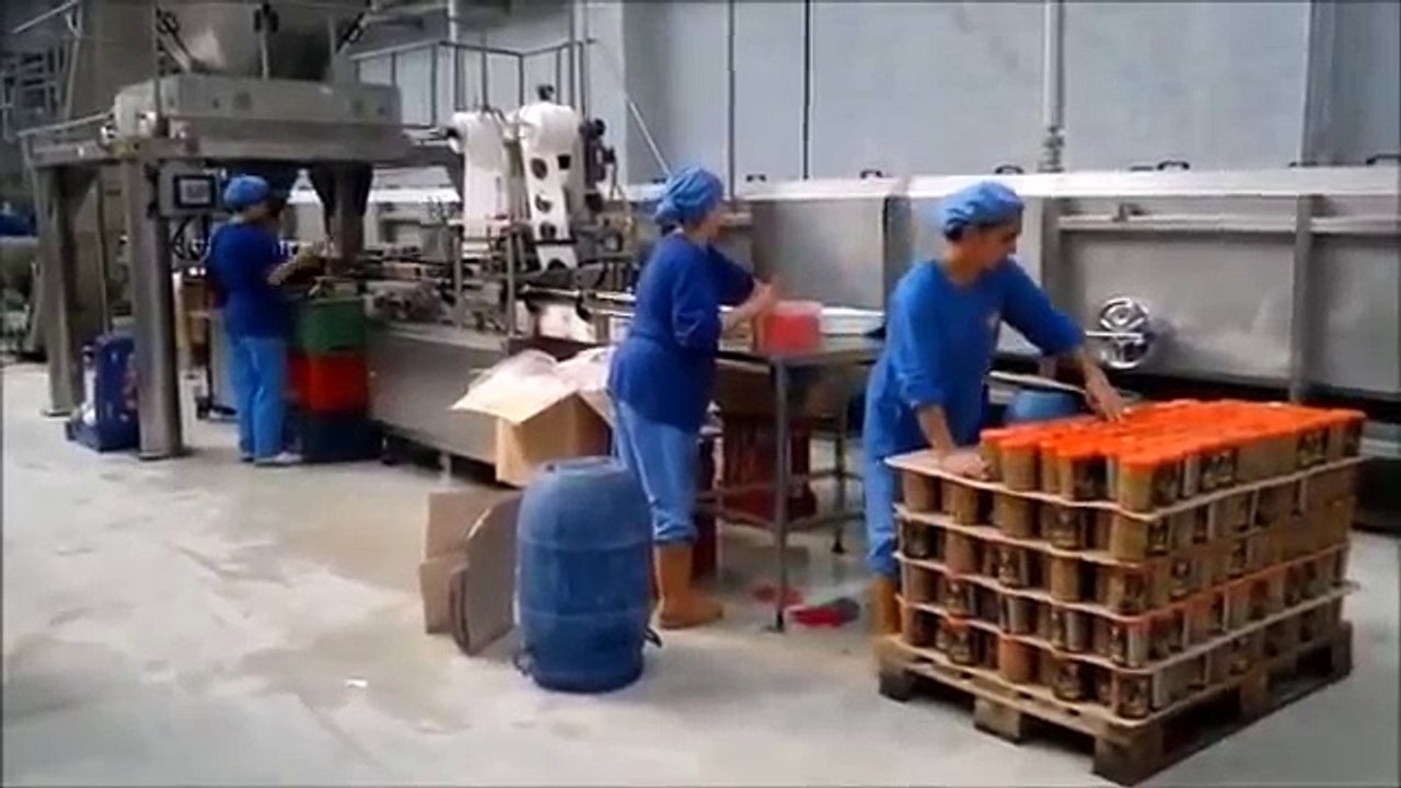 Top foil cut and sealing machine
