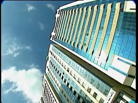 Emirats arabes unis, l'envol du faucon