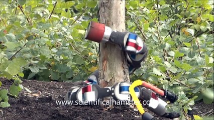 Snake Robot Climbs a Tree