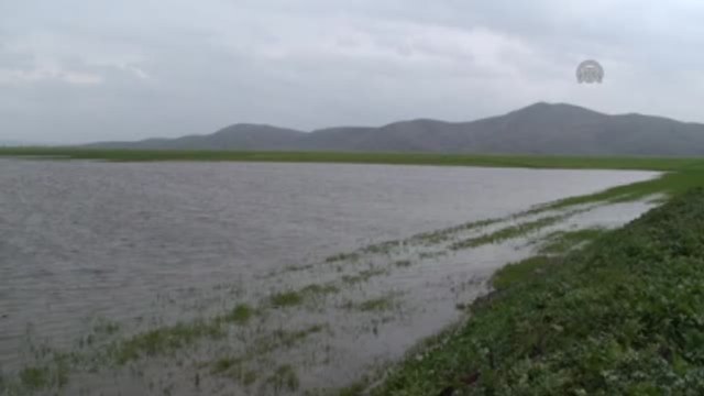 Sağanak Nedeniyle 30 Bin Dönüm Tarım Arazisi Zarar Gördü - K.
