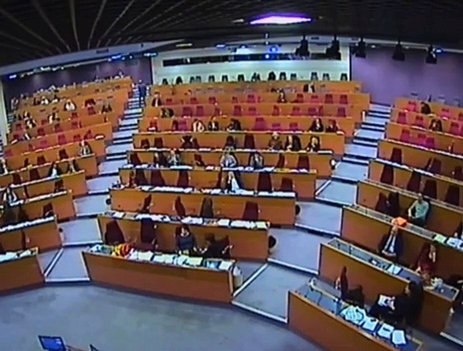 Conseil Régional 12&13 février 2015 : Laurent Dumond - Niche MPCEI sécurité