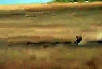 running fast funny vedios and clips