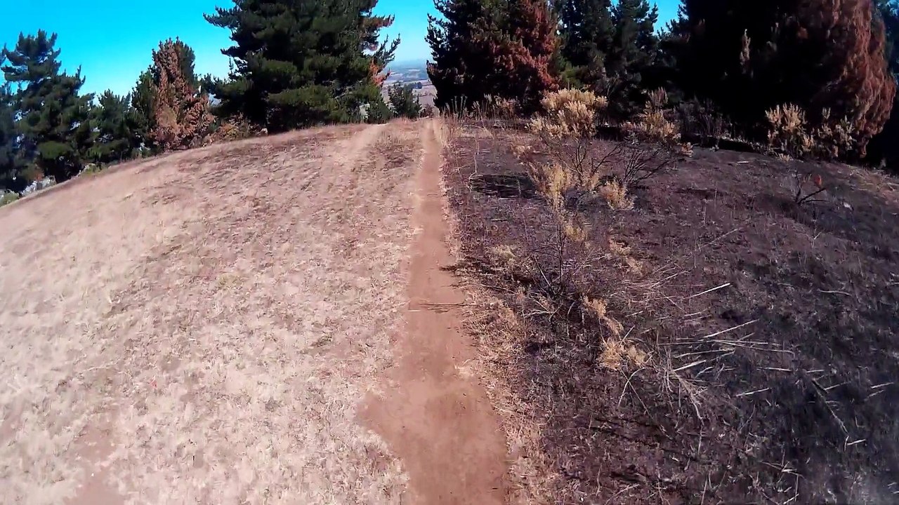 CERRO 2015