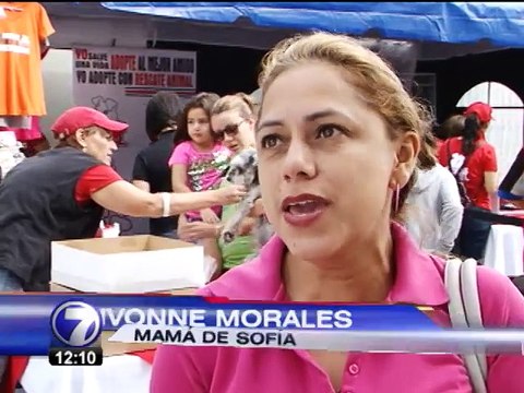 Feria de adopciones brinda un nuevo hogar a perros y gatos