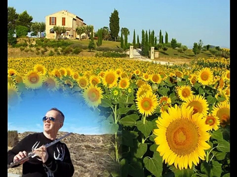 CANE NIKOLOVSKI / Flute /  - Fields of Gold