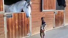 Коза хочет ушатать коня))) прикол. Funny
