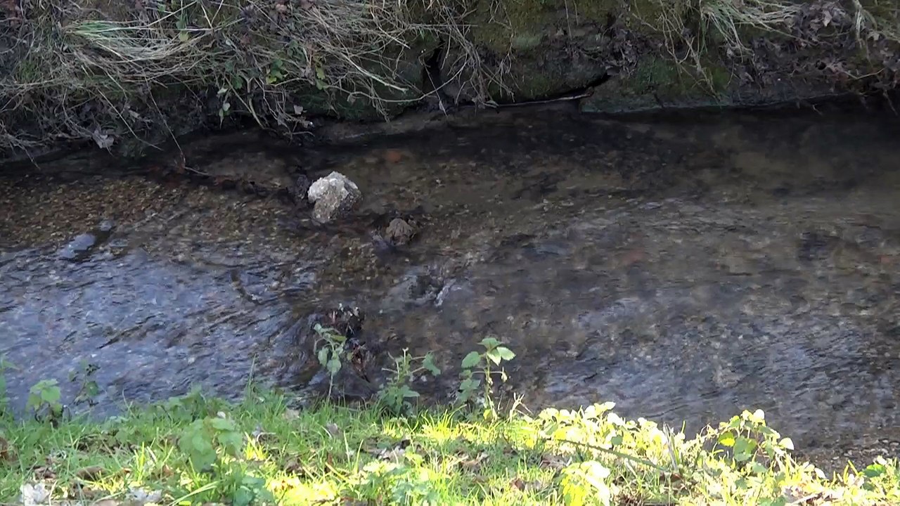 L'eau du Canton