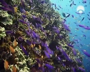 A Era Do Hidrogenio - Odisseia