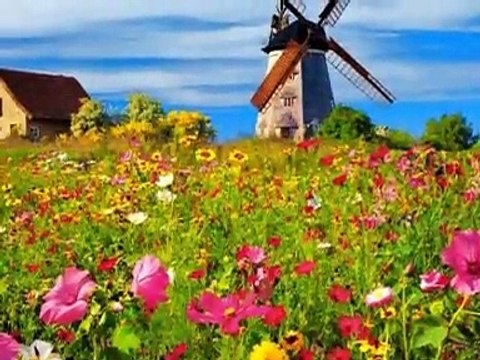 Tous les moulins de mon coeur Michel Legrand