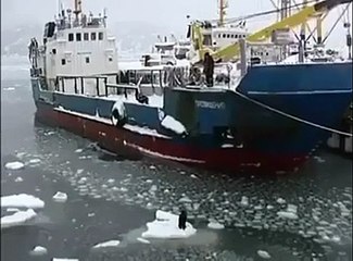 There are good people out there !!!