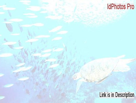 IdPhotos Pro Keygen [idphotos pro 5.0.187 portable]