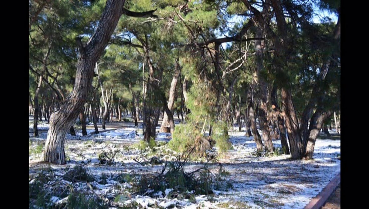 KIRKAĞAÇ'TA KAR VAR