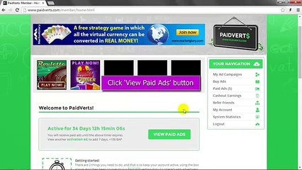 PaidVerts Full Guide