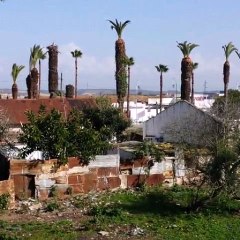 دويرة فمدينتي(من هنا وهناك)