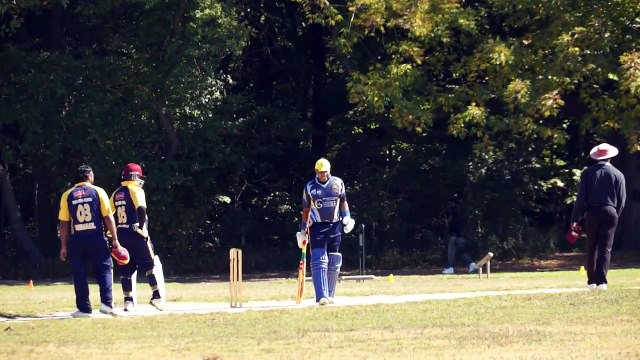 Bowling or Baseball Pitching, Pelting, Throwing, Flinging, This is Cricket