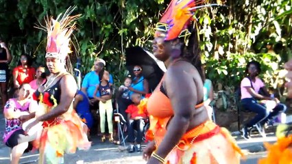Carnaval de Vieux Habitants