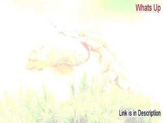 Whats Up Crack [Risk Free Download]