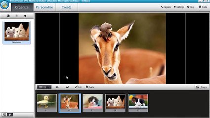 How To Make a Photo Slideshow in Minutes