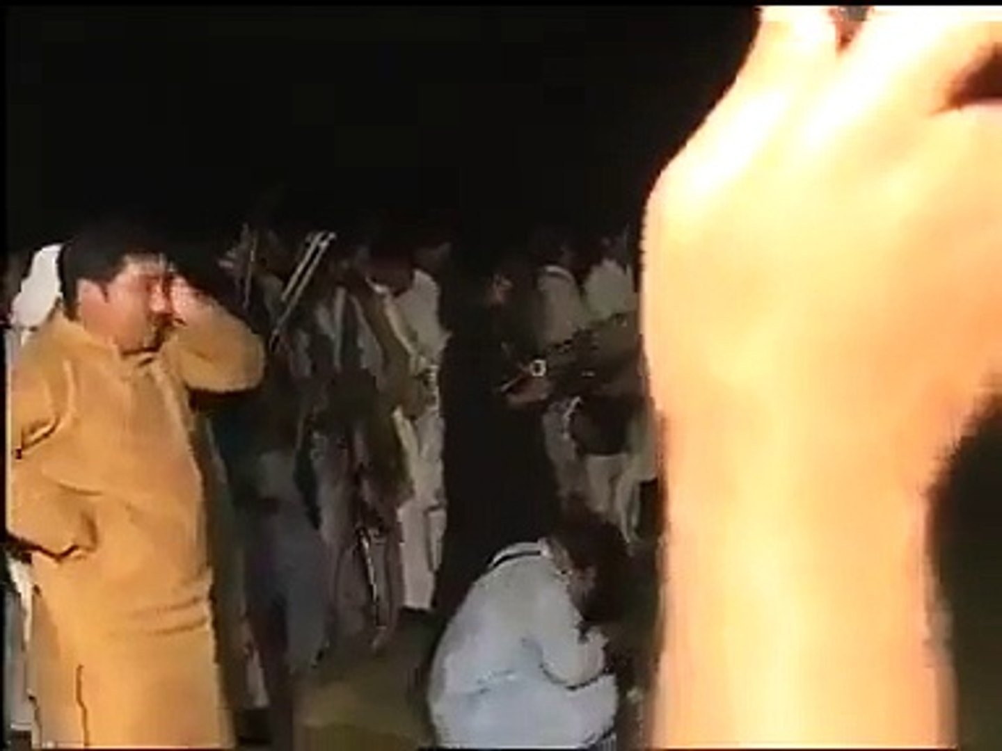 Pakistani Tigers
