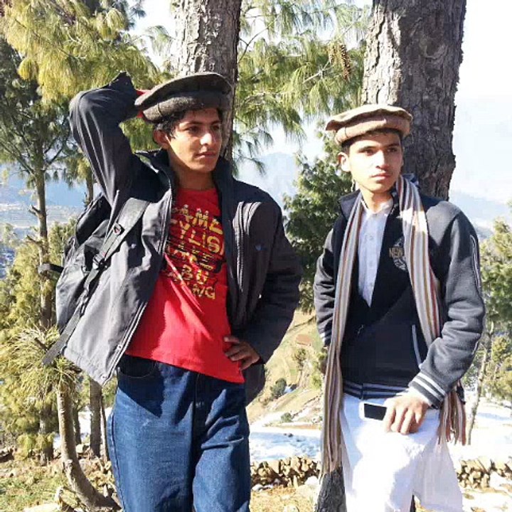 pashto song