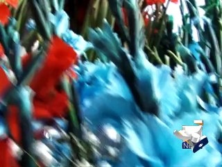 Valentine's Day Celebrations-Lahore-14 Feb 2015