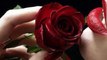 Suno Larki Mari Mano Voice Tipu Shaikh ♥ Urdu Poetry Happy Valentine's day