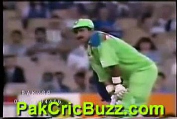 Javed Miandad making fun of Kiran More's appeal.