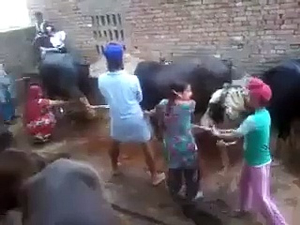 majj kabu hi nai aa rahi ehna kolo dekho....ha ha