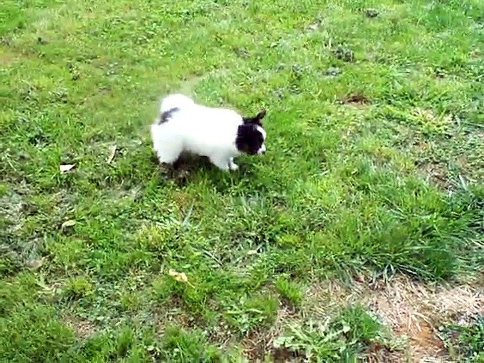 Découverte du jardin!