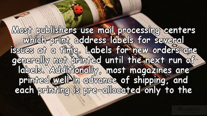 Shopping for Magazines Online