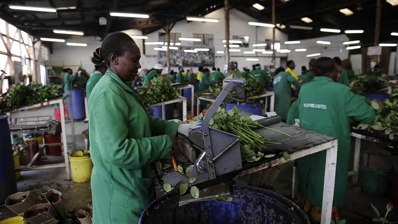 kenya-2